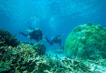 Heron Island Resort - Heron Island hotel
