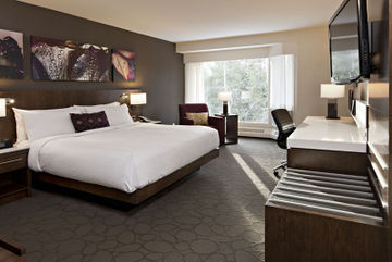 Delta Lodge at Kananaskis - Kananaskis hotel