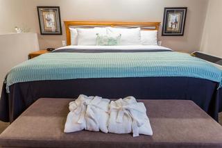 Executive Royal Inn Leduc-Nisku At The Edmonton - Edmonton hotel