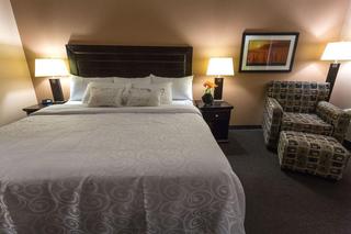 Executive Royal Inn Leduc-Nisku At The Edmonton - Edmonton hotel
