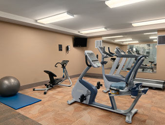 RAMADA WINNIPEG HOTEL - VISCOUNT GORT - Winnipeg hotel