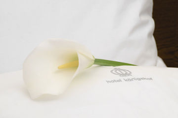 Koenigshof Swiss Quality Hotel - Cologne | Koeln hotel