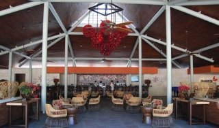 Barcelo Bavaro Beach & Convention Center - Punta Cana hotel