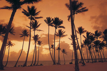 Barcelo Bavaro Beach & Convention Center - Punta Cana hotel