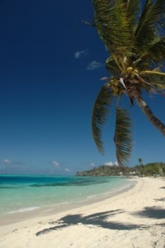 Mana Island Resort - Mana Island hotel