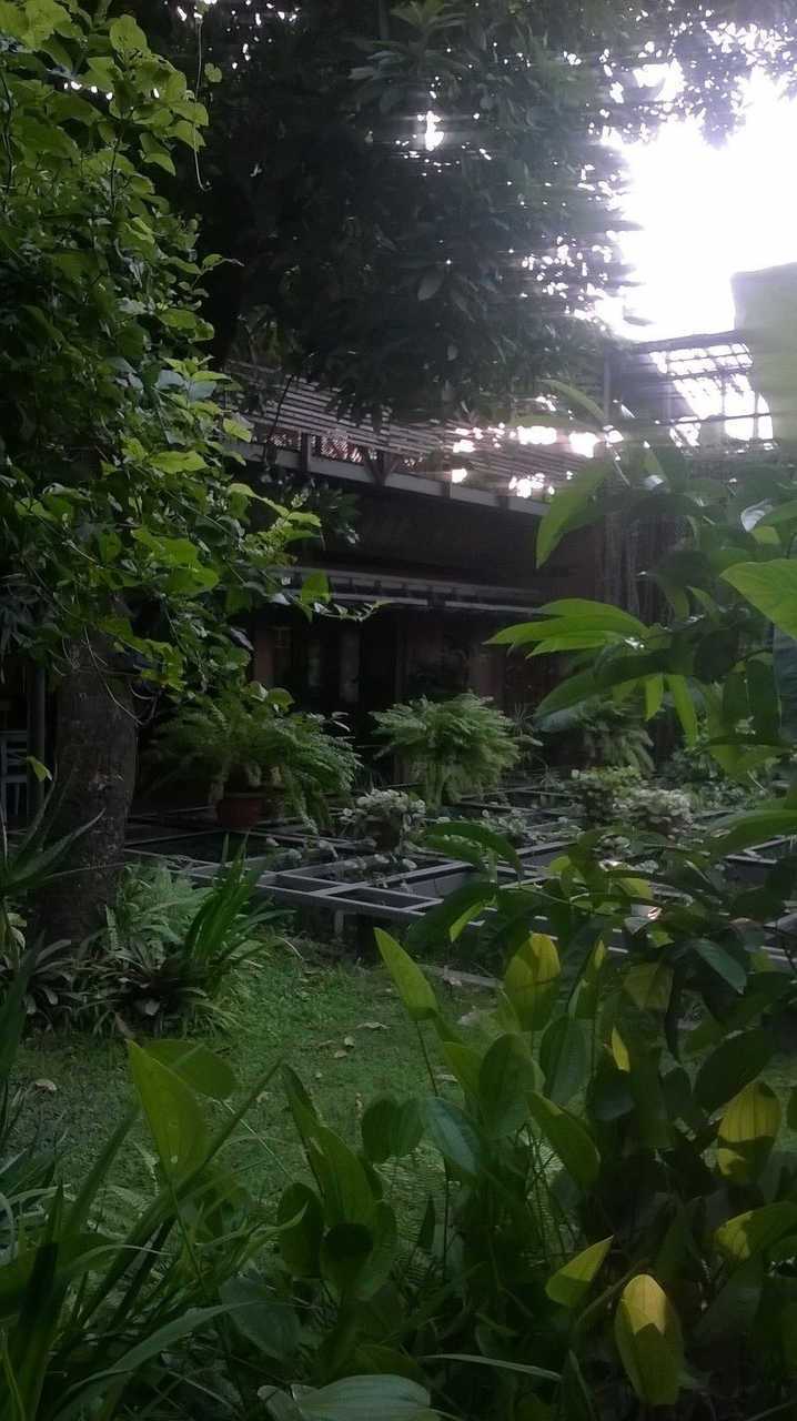 Rumah Turi Green Boutique Hotel - Solo | Surakarta hotel