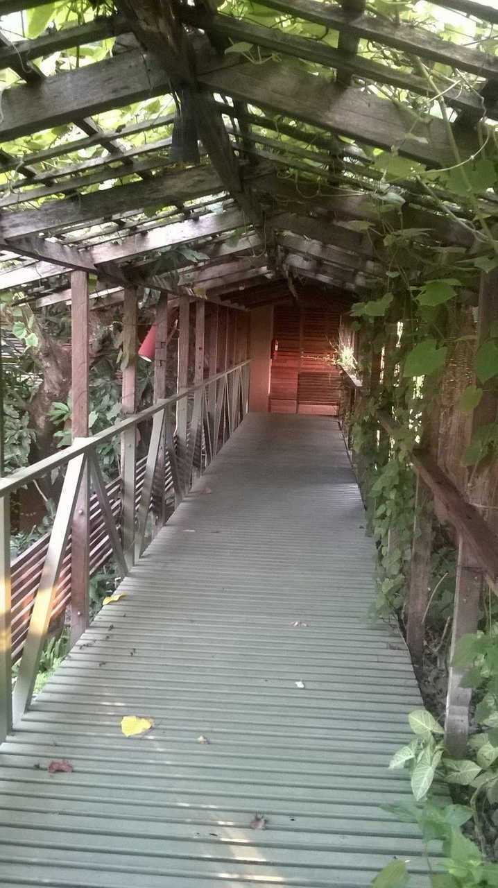 Rumah Turi Green Boutique Hotel - Solo | Surakarta hotel