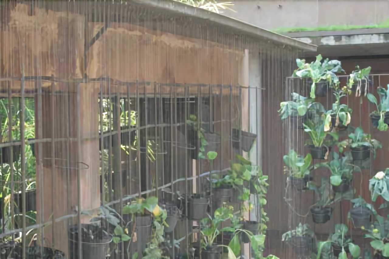 Rumah Turi Green Boutique Hotel - Solo | Surakarta hotel