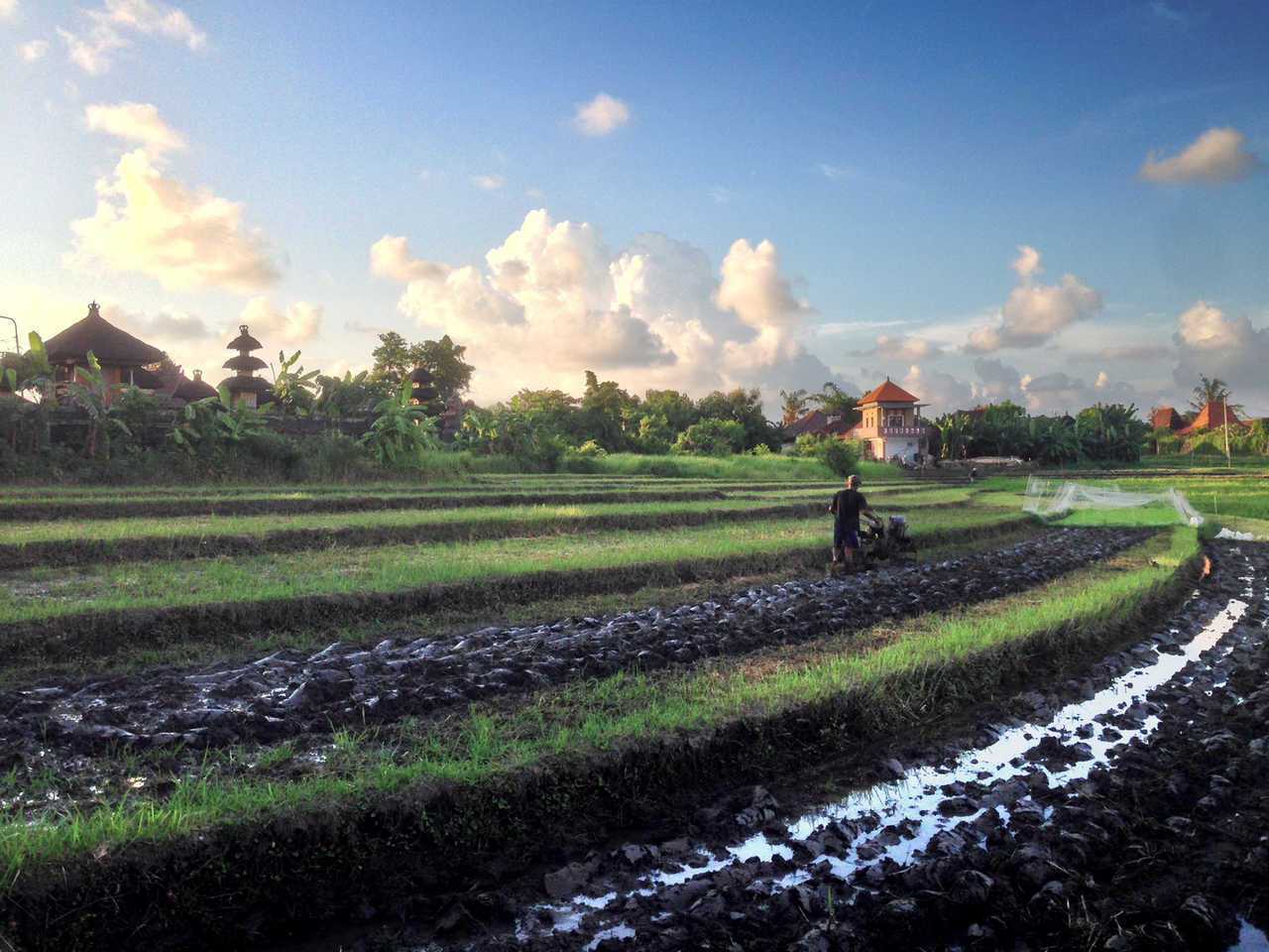 Voyager Boutique Creative Retreat - Bali โรงแรม