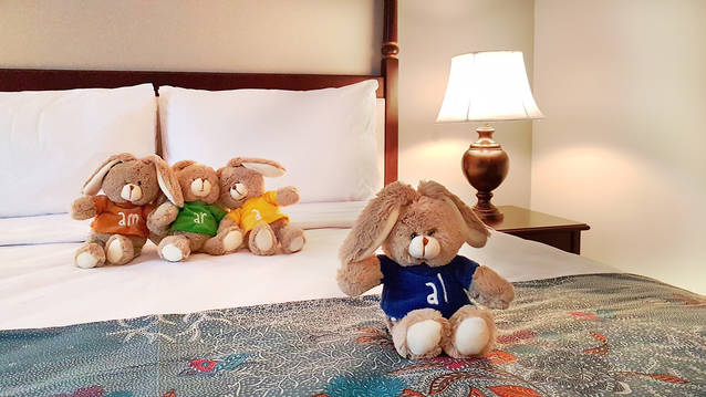 Allium Cepu - Cepu hotel