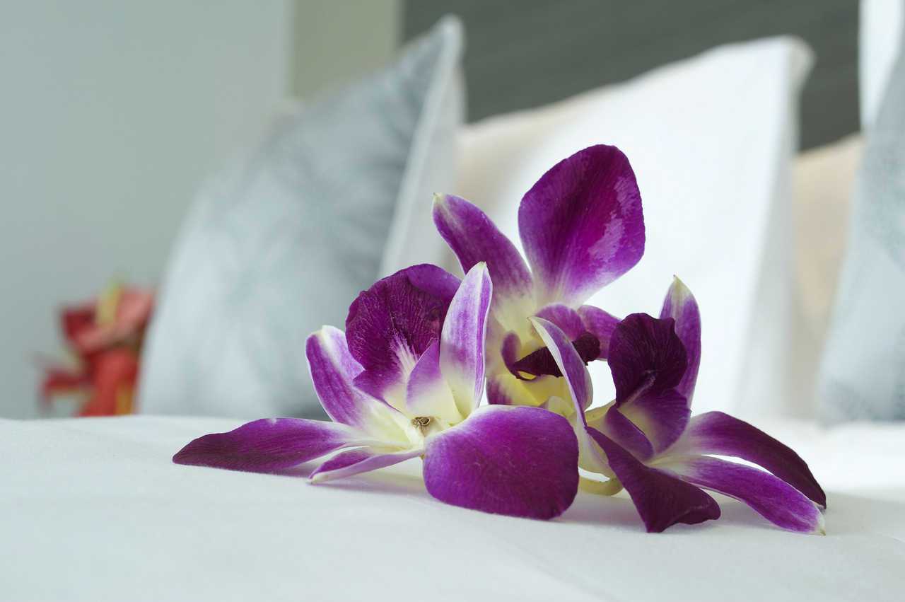 Ibis Simpanglima - Semarang โรงแรม