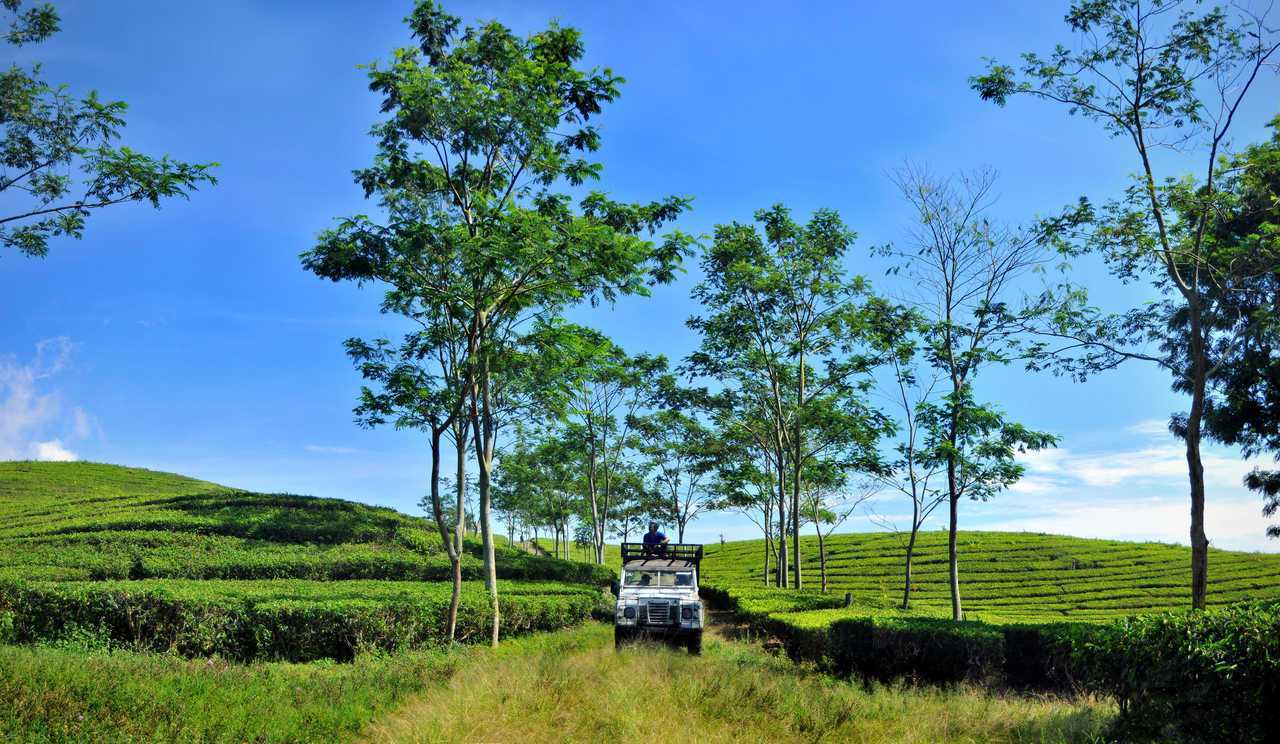 Sari Ater Hotel and Resort - Subang hotel