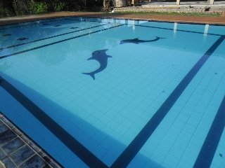 Camellia Resort and Spa - Cultural Triangle hotel
