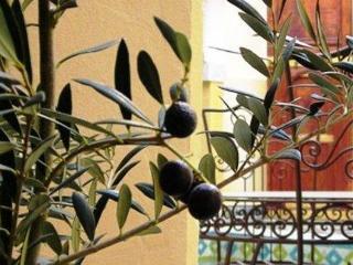Riad Zitouna - Fes | Fez hotel