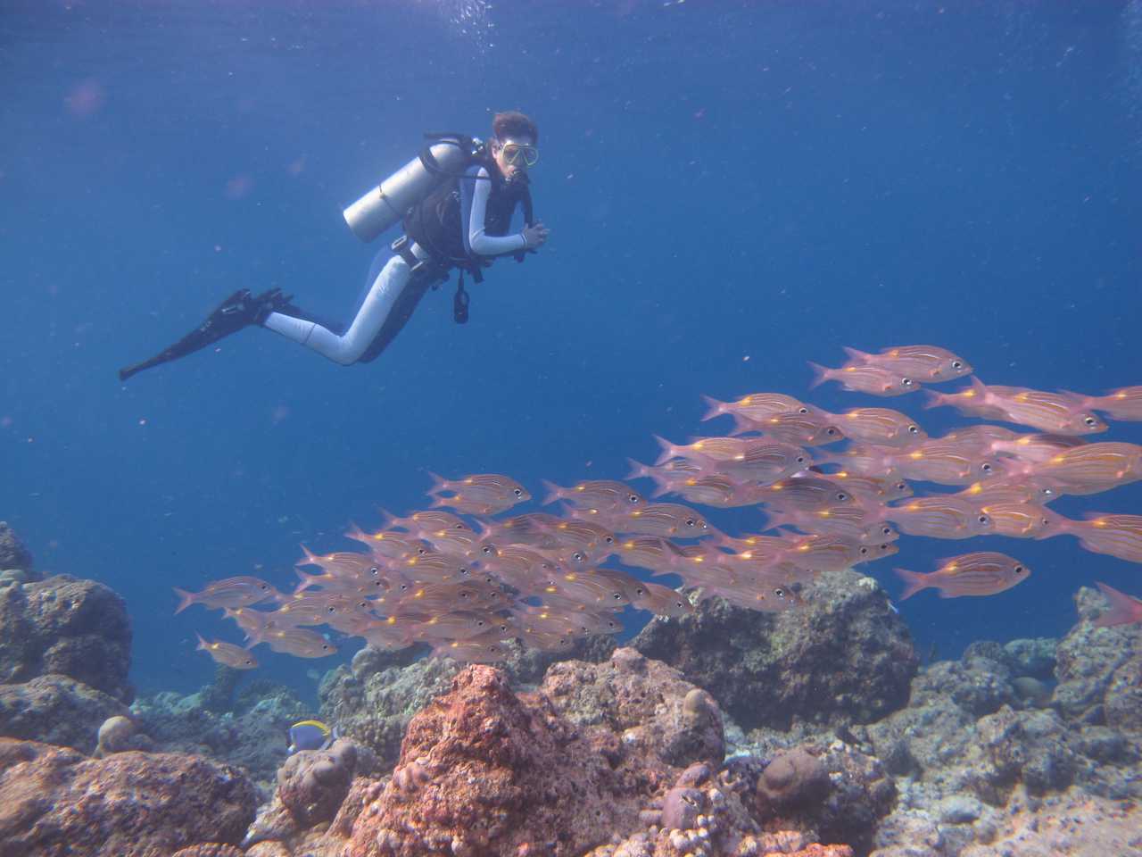 Adaaran Prestige Vadoo - Maldives hotel