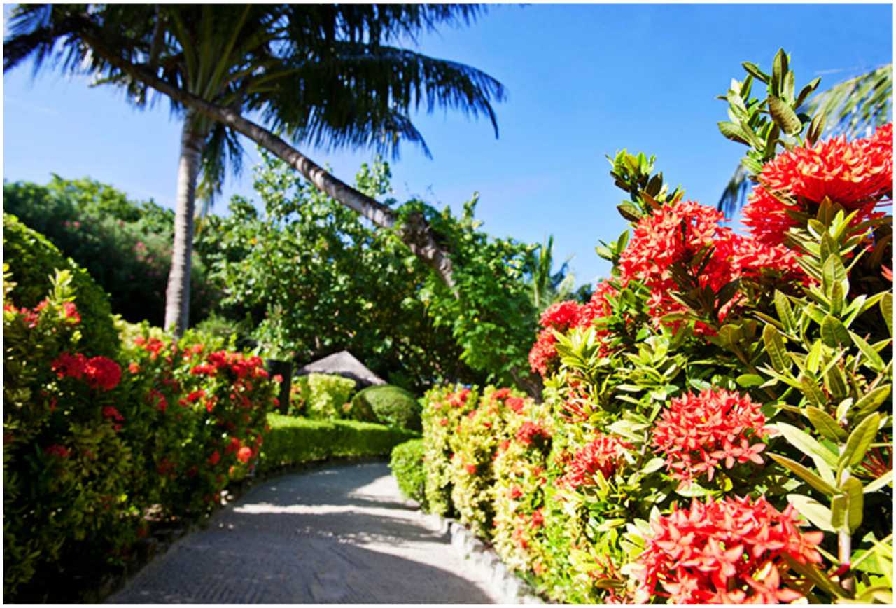 Adaaran Prestige Vadoo - Maldives hotel